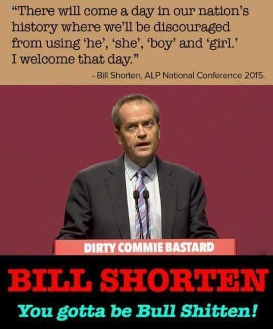 Bill shorten on Girls Boys etc.jpg