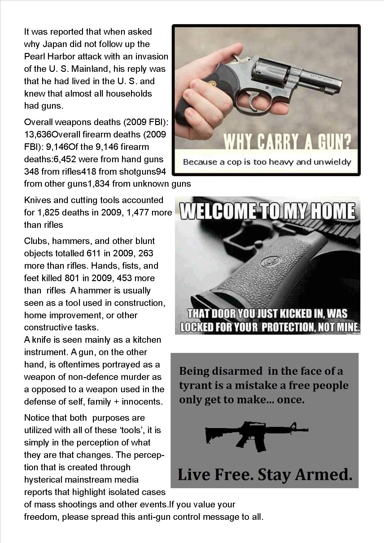 3 Recent gun History.jpg