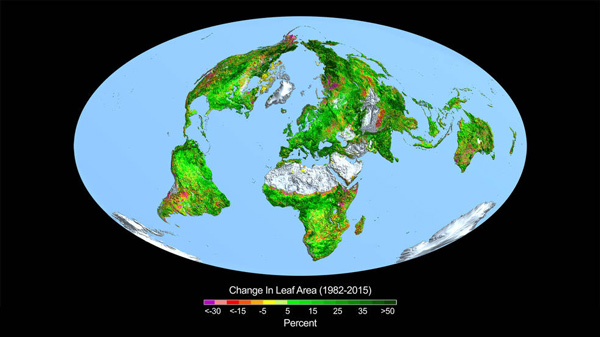 Change-in-Leaf-Area-1982-2015-600